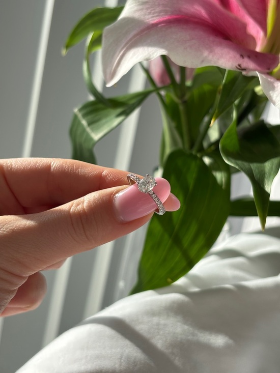 Jewelry - Moissanite Solitaire Pavé Engagement Ring - Silver 925